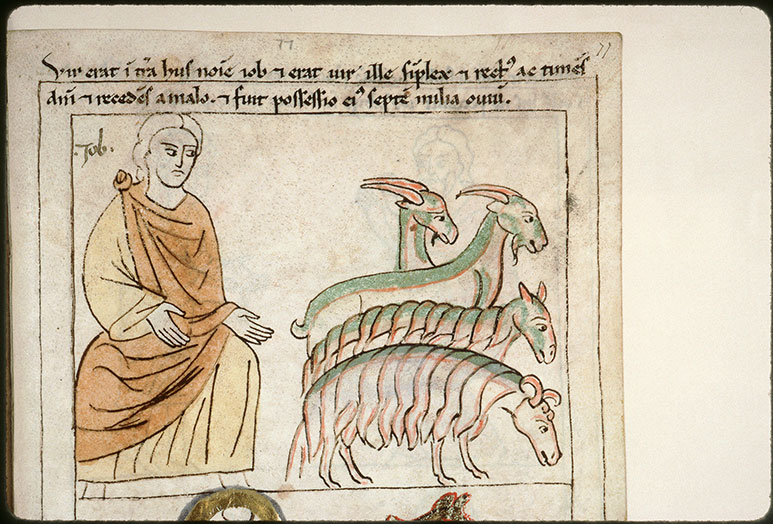 Bible en images - Job et son troupeau