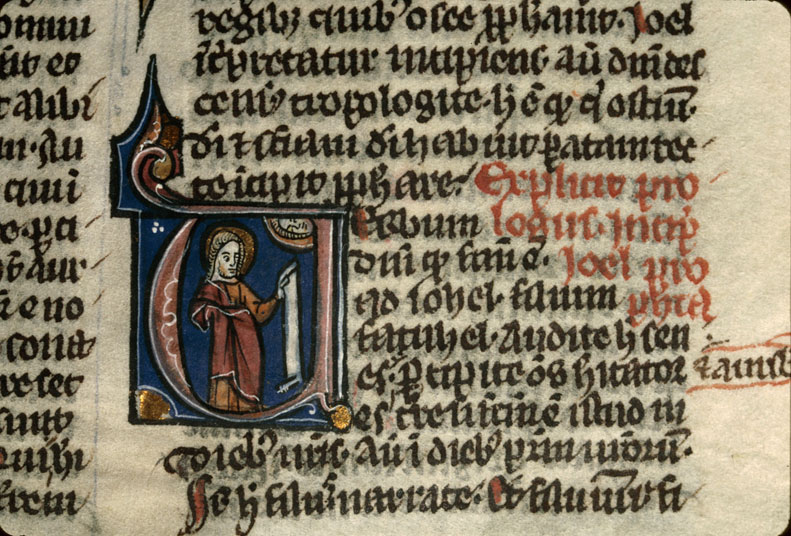 Bible - Dieu parlant à Joël_0