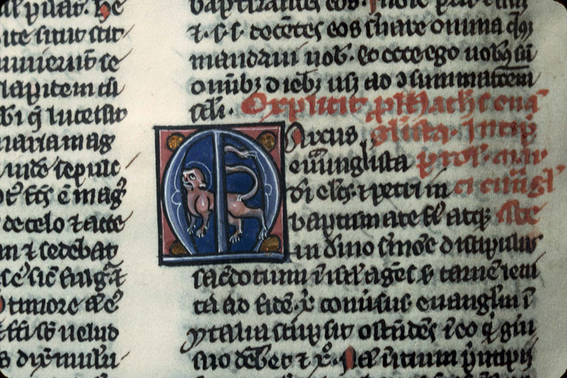 Bible - Lion de saint Marc_0