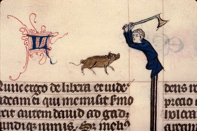 Bible - Abattage du cochon