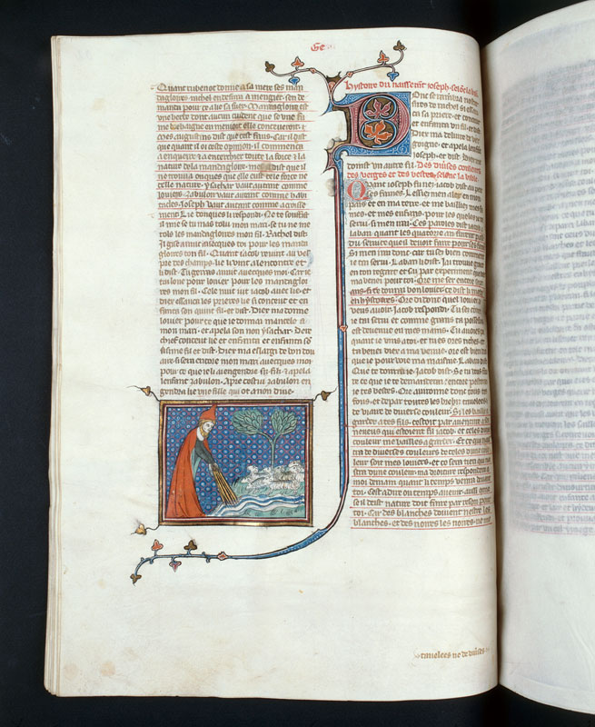 Bible historiale - Jacob et les troupeaux de Laban_1
