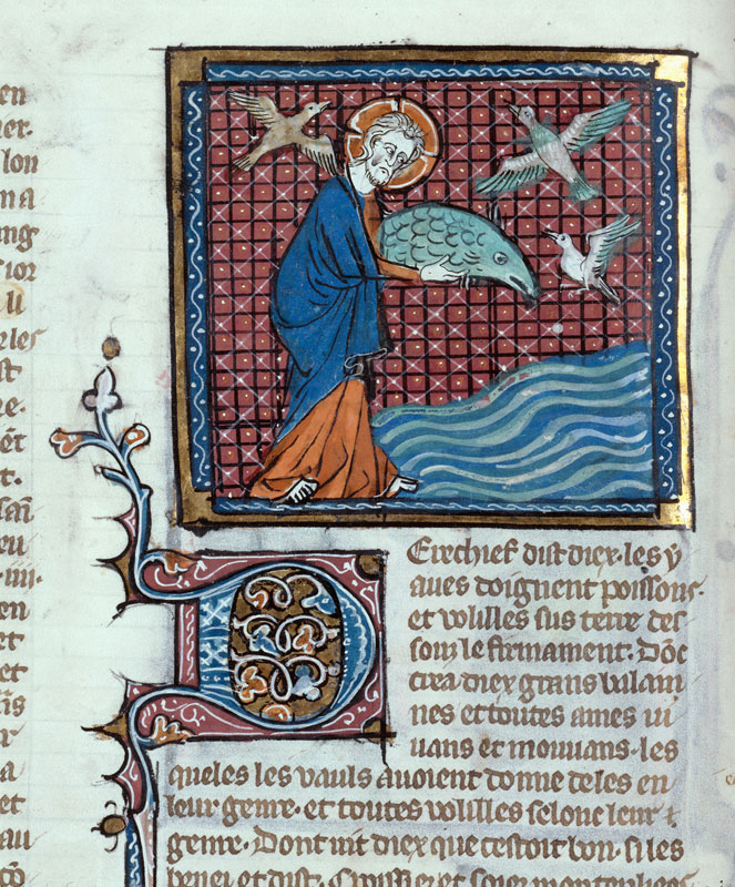 Bible historiale - Création des oiseaux et des poissons