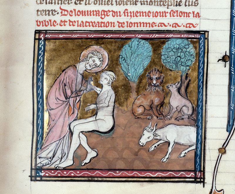 Bible historiale - Création d'Adam/Création des animaux terrestres