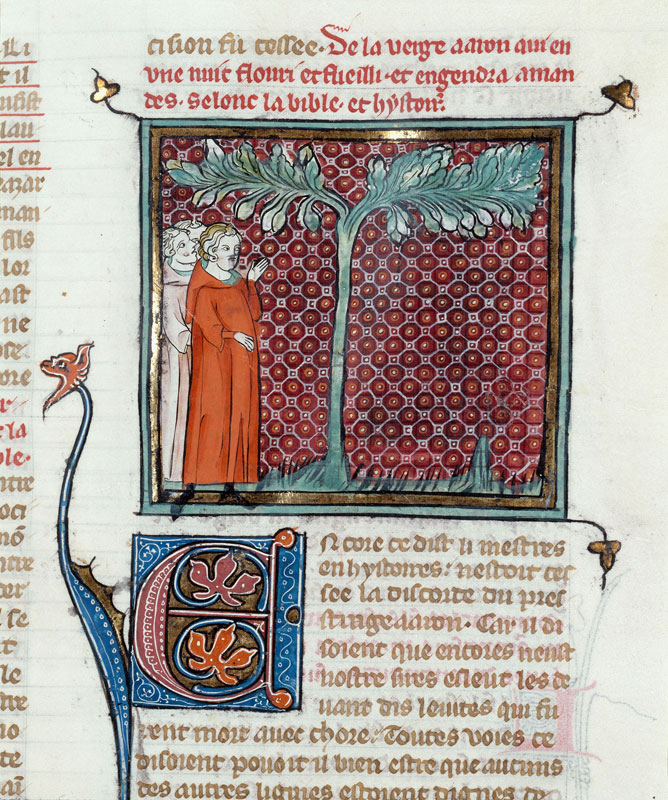 Bible historiale - Verge fleurie d'Aaron