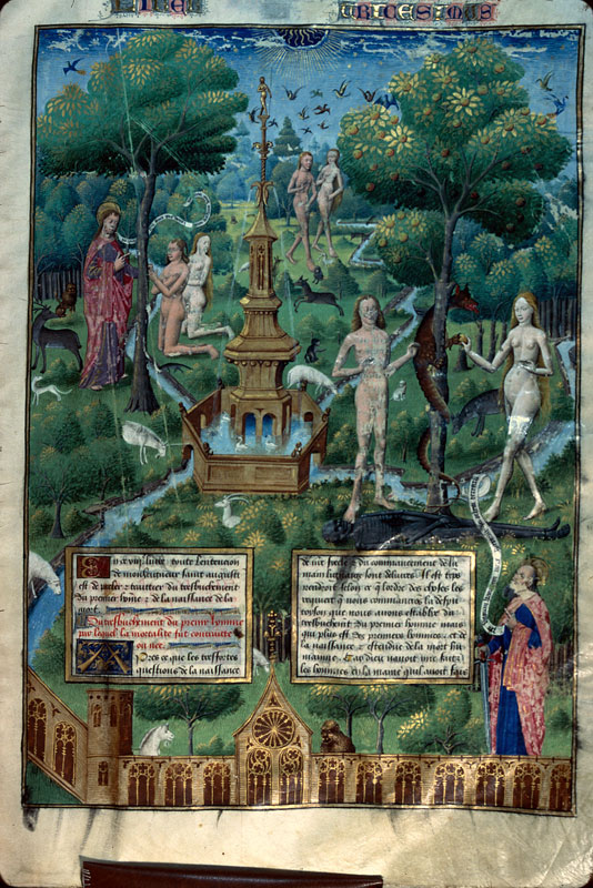 Cité de Dieu - Arbre de la Connaissance