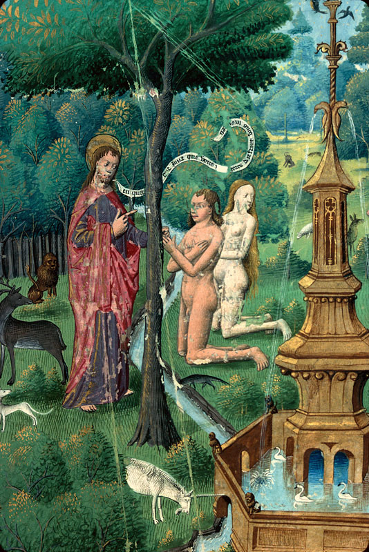 Cité de Dieu - Arbre de la Connaissance_1