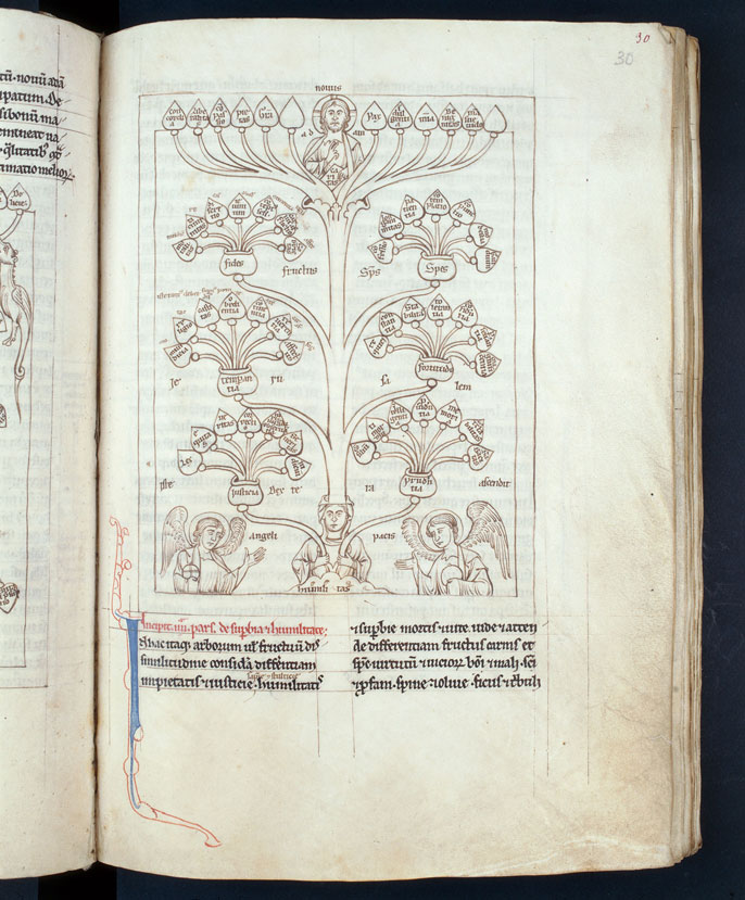 Speculum virginum - Arbre des vertus_1