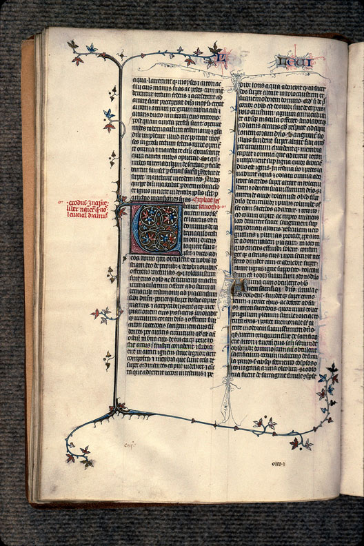 Bible - Page décorée