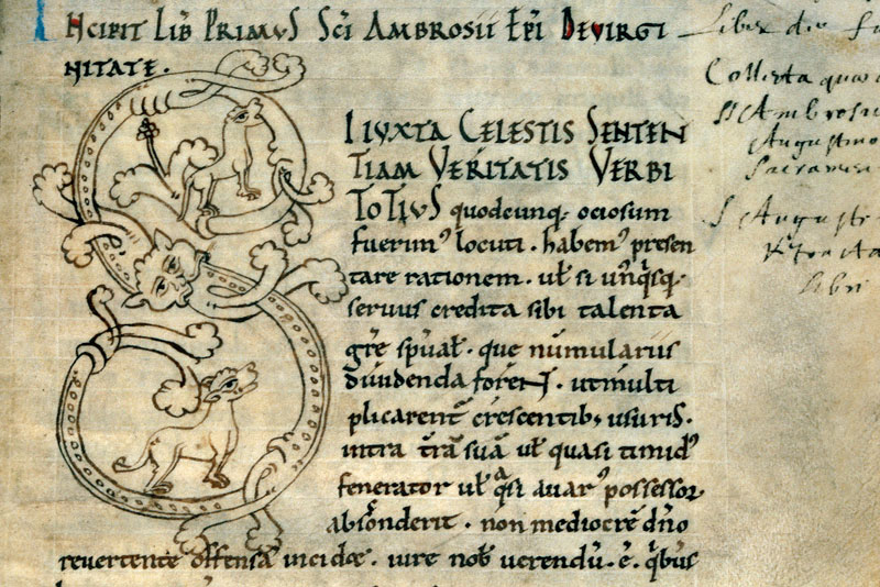 Opuscula - Chiens