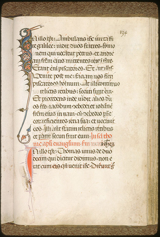 Evangéliaire - Hybride zoomorphe_1