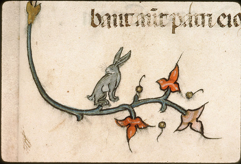 Evangéliaire - Page décorée