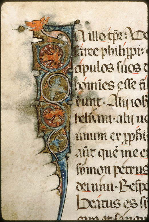 Evangéliaire - Hybride zoomorphe