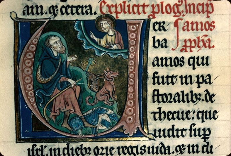 Bible - Dieu parlant à Amos