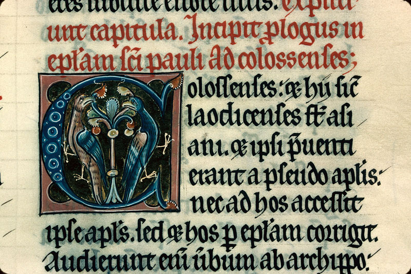 Bible - Oiseaux affrontés