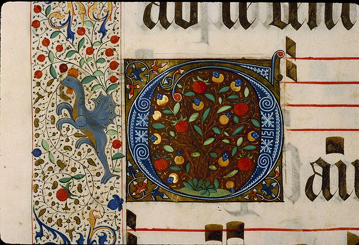 Graduel à l'usage de la cathédrale du Mans - Hybride zoomorphe