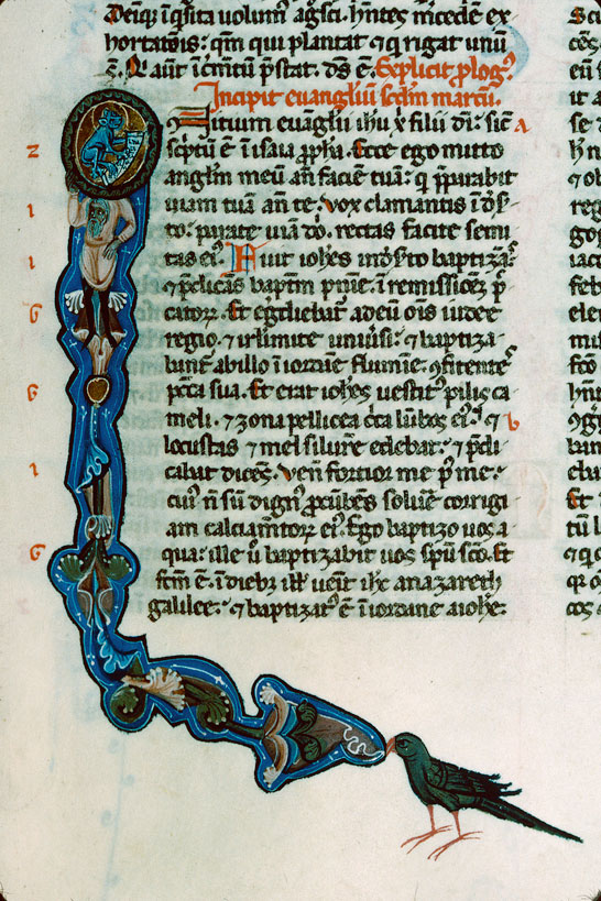 Bible - Oiseau