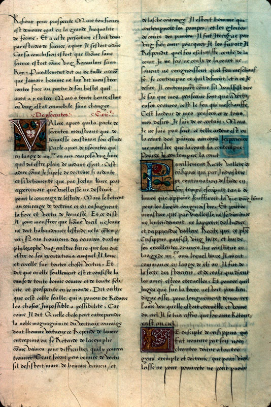 Histoire de la Toison d'or - Fleurs