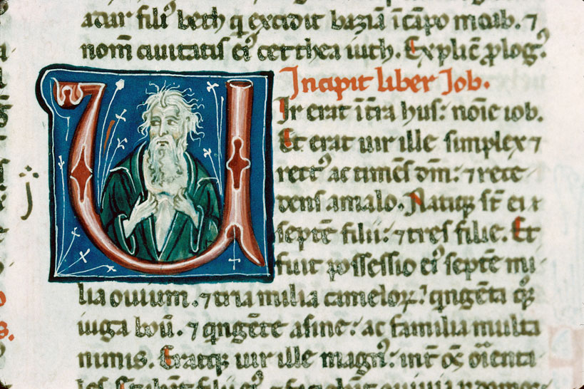 Bible - Détresse de Job