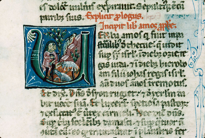 Bible - Amos et son troupeau