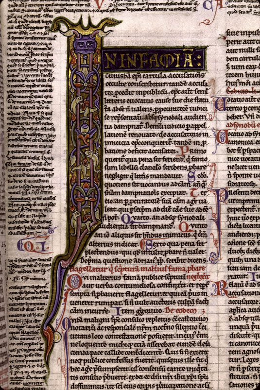 Decretum - Fauve dans des végétaux