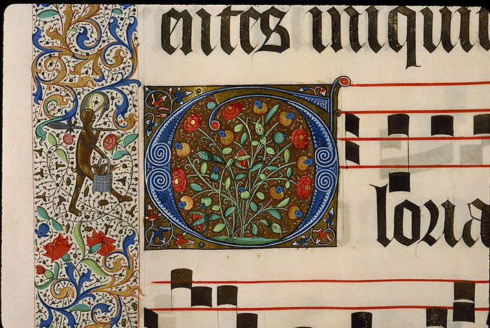 Graduel à l'usage de la cathédrale du Mans - Singe transportant des oiseaux