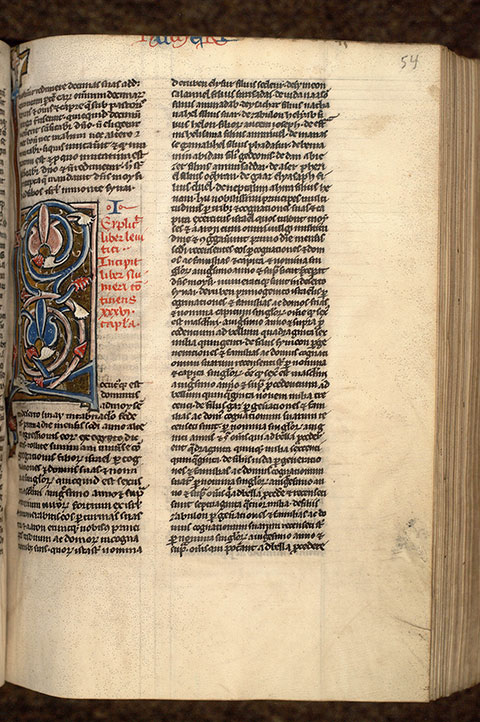 Bible - Initiale ornée