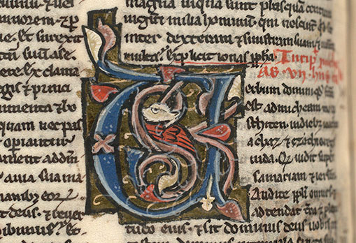 Bible - Hybride zoomorphe