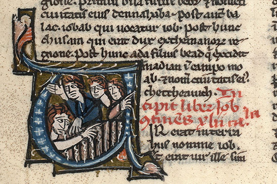 Bible - Job et ses amis