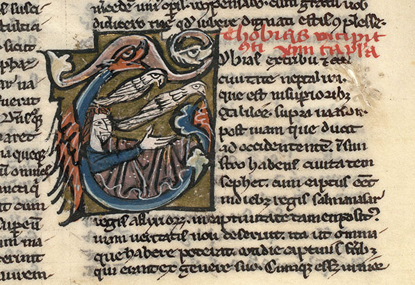 Bible - Tobit devenant aveugle