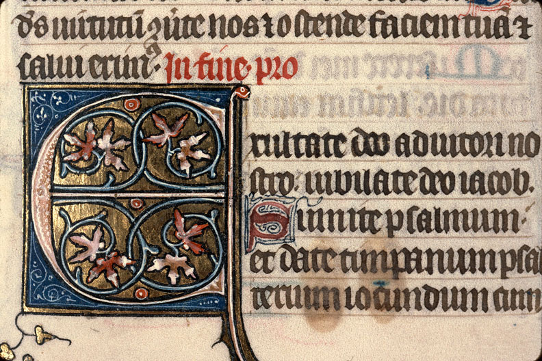 Bible - Initiale ornée