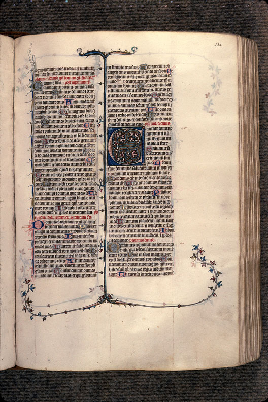 Bible - Page décorée