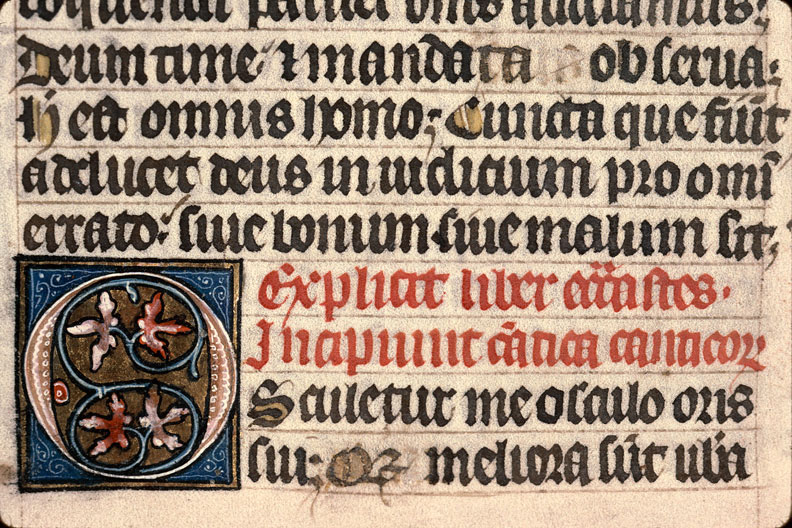Bible - Initiale ornée