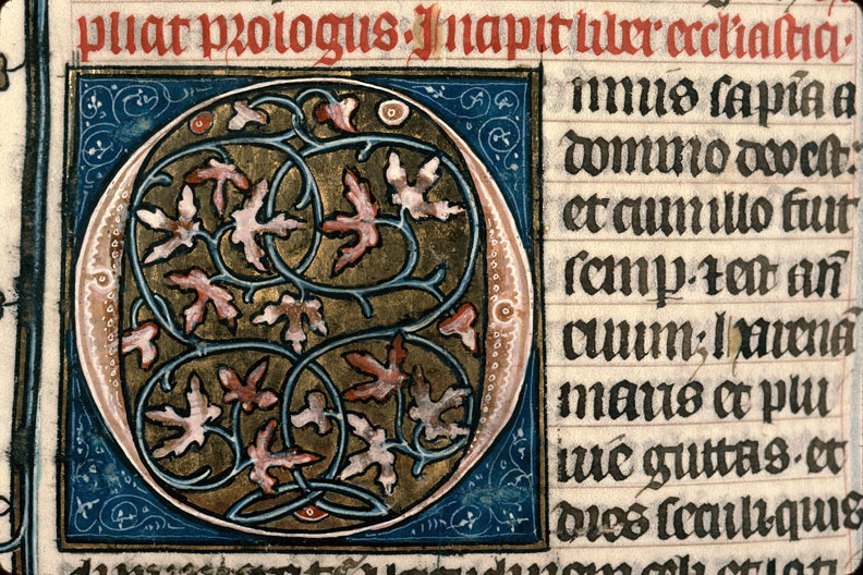 Bible - Initiale ornée