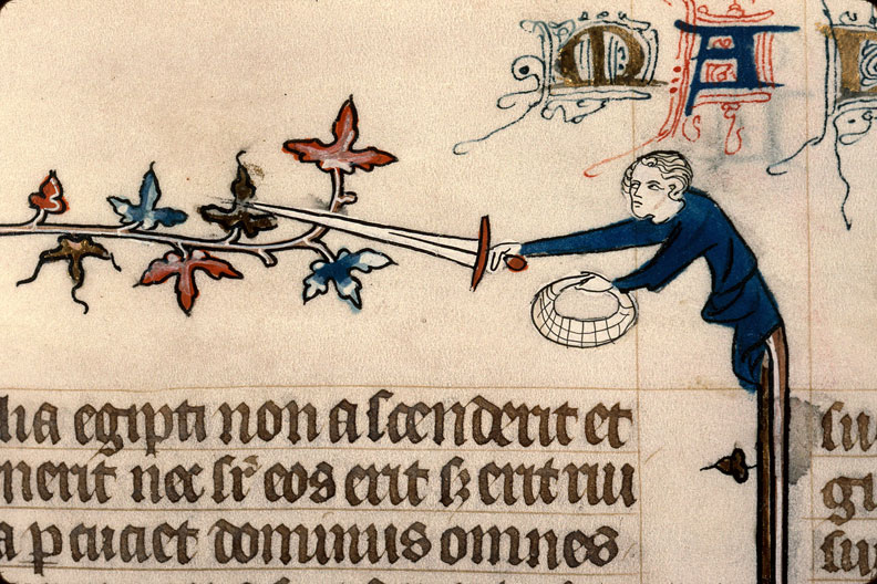 Bible - Homme tenant une épée et un panier