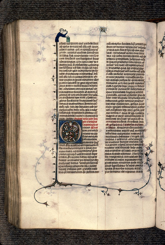 Bible - Hybride anthropomorphe