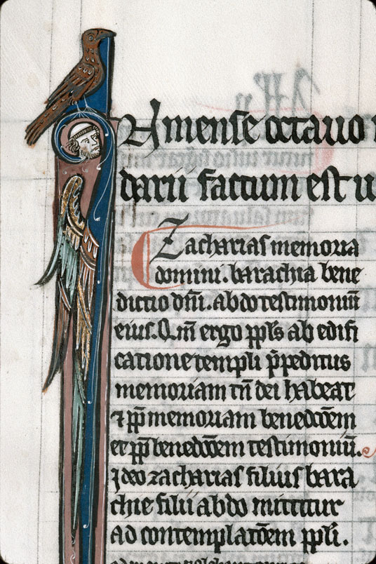 Bible glosée (partie de) - Hybride anthropomorphe et oiseau_1