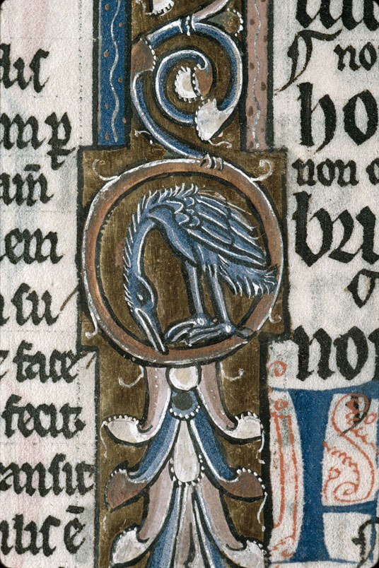 Bible glosée (partie de) - Oiseau