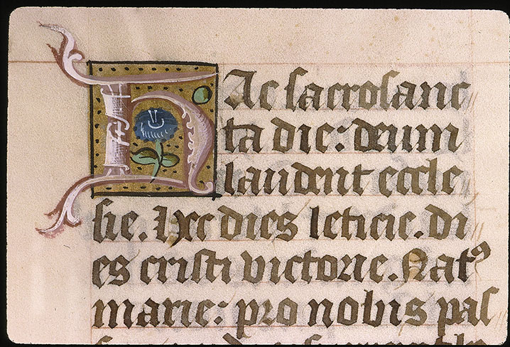 Missel à l'usage de l'abbaye Sainte-Geneviève de Paris - Initiale ornée