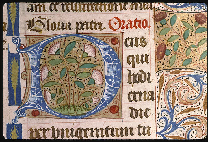 Missel à l'usage de l'abbaye Sainte-Geneviève de Paris - Initiale ornée