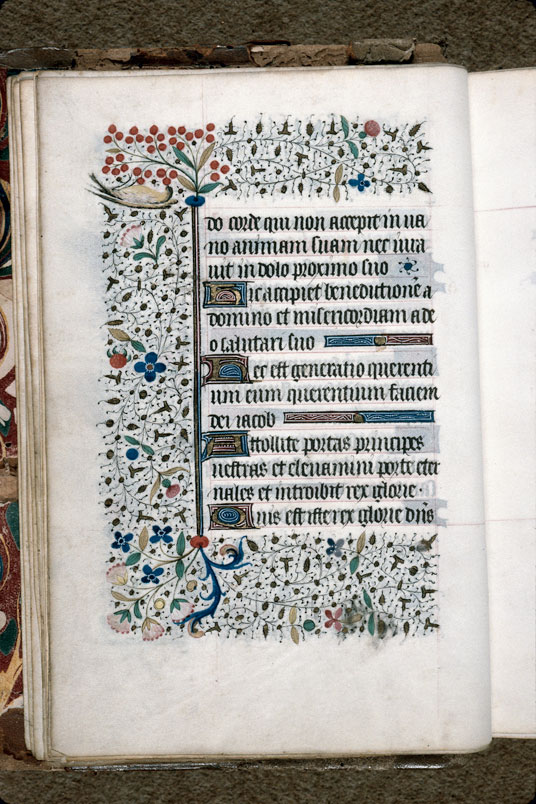 Heures à l'usage de Troyes (?) - Oiseau picorant_1