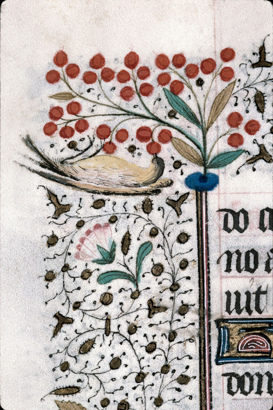 Heures à l'usage de Troyes (?) - Oiseau picorant