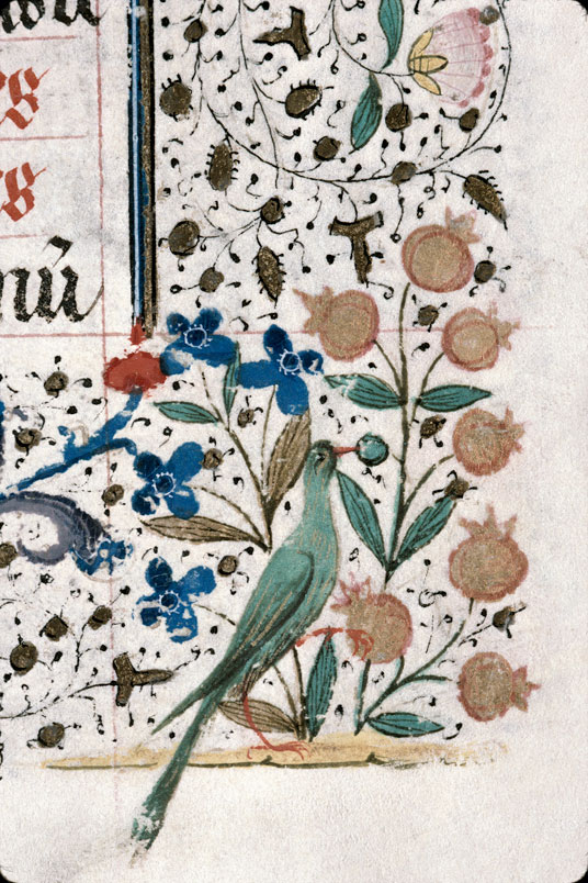 Heures à l'usage de Troyes (?) - Oiseau picorant