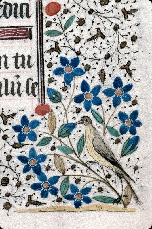 Heures à l'usage de Troyes (?) - Oiseau et fleurs