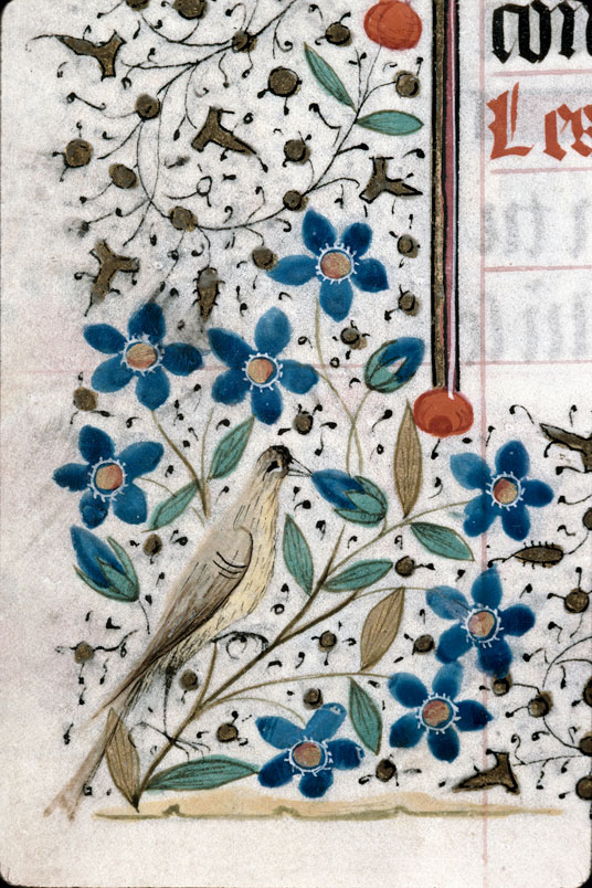 Heures à l'usage de Troyes (?) - Oiseau et fleurs