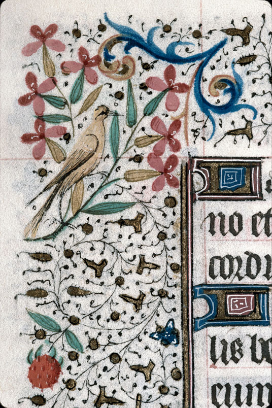 Heures à l'usage de Troyes (?) - Oiseau