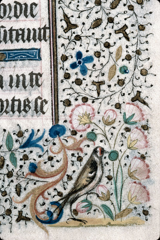 Heures à l'usage de Troyes (?) - Oiseau et fleurs