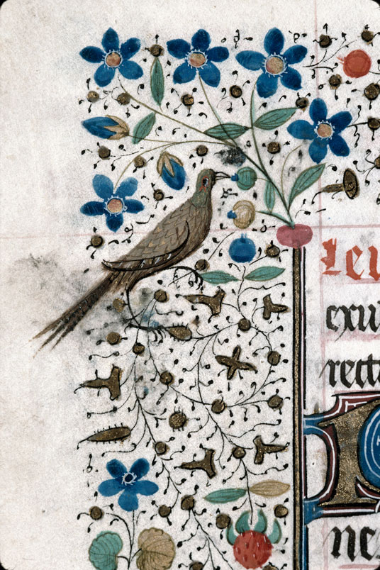 Heures à l'usage de Troyes (?) - Oiseau et fleurs