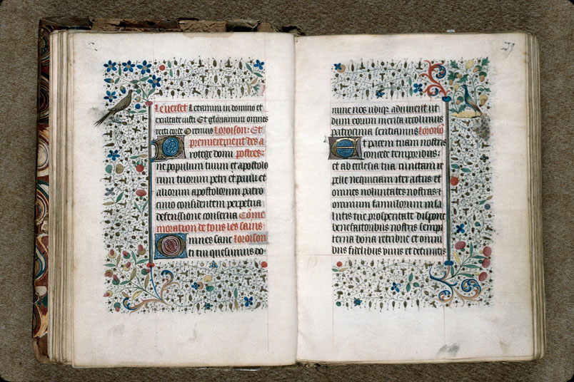 Heures à l'usage de Troyes (?) - Oiseau et fleurs