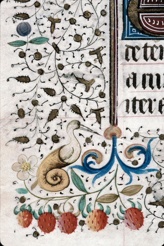 Heures à l'usage de Troyes (?) - Hybride zoomorphe
