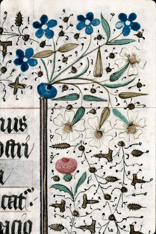 Heures à l'usage de Troyes (?) - Fleurs_0